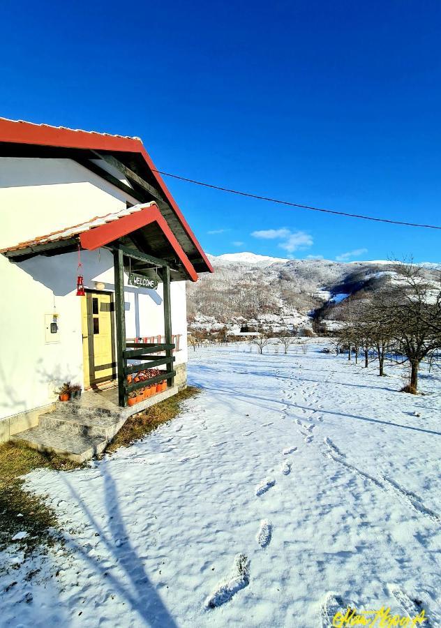 Kosta'S Romantic House Plav Bagian luar foto